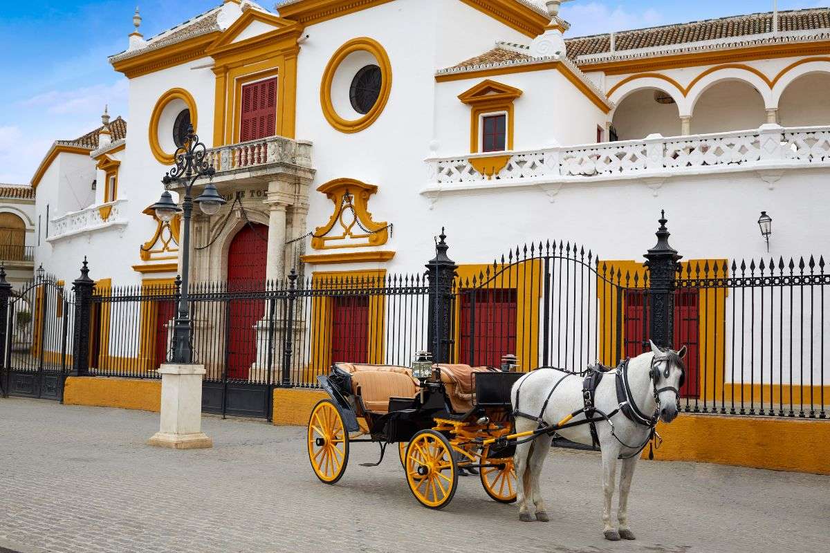 Tour Plaza De Toros